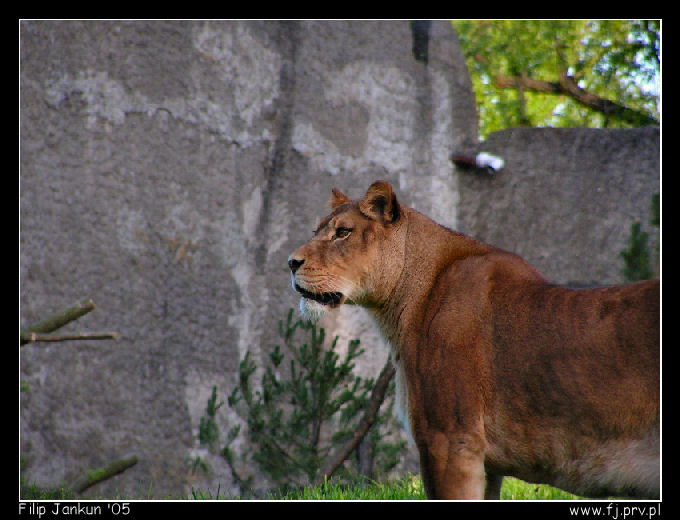 Wizyta w Warszawskim ZOO