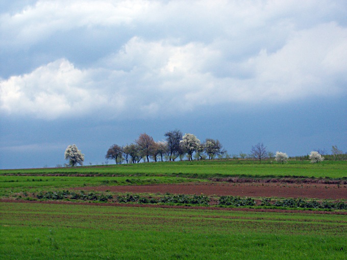 Przed burzą