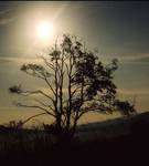 Bieszczady Nocą