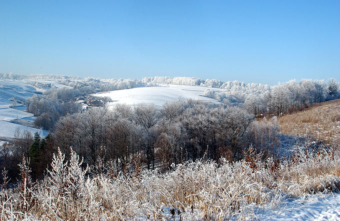 Pogórze Strzyżowskie