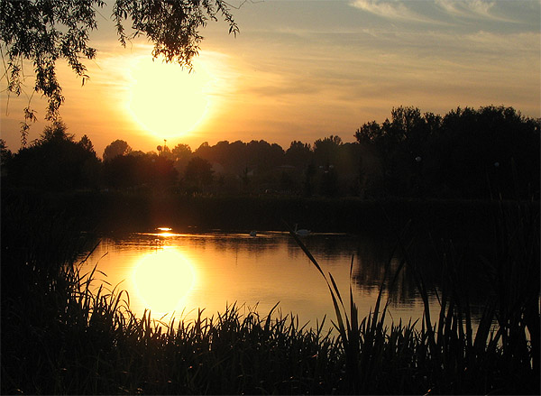 Park o zachodzie słońca