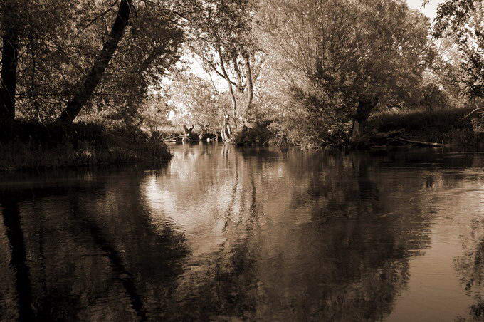 the Bystrzyca river