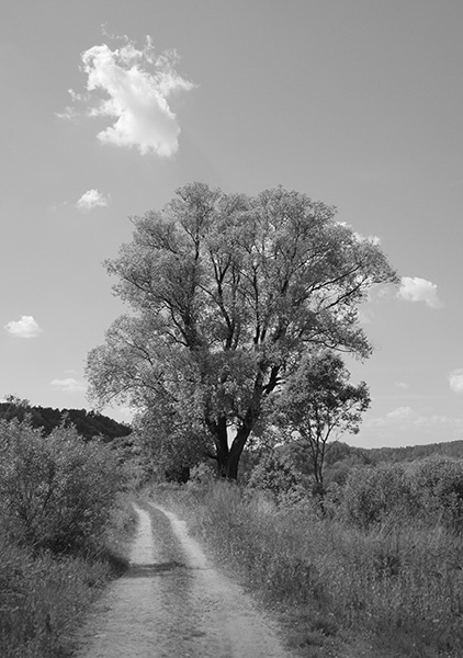 gdzieś nad Sanem