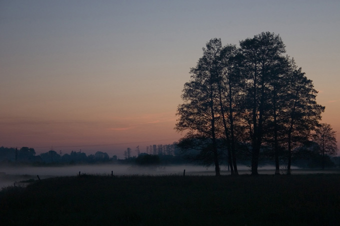 wieczorna mgła