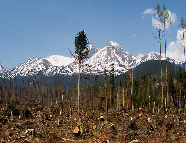 Tatry