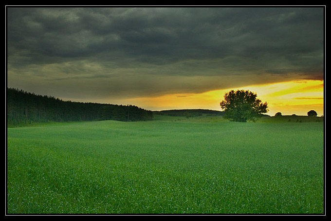 prosty pejzaż wielkopolski