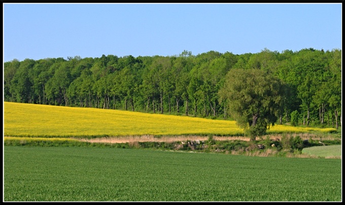 Siedlęcin k./Jeleniej Góry