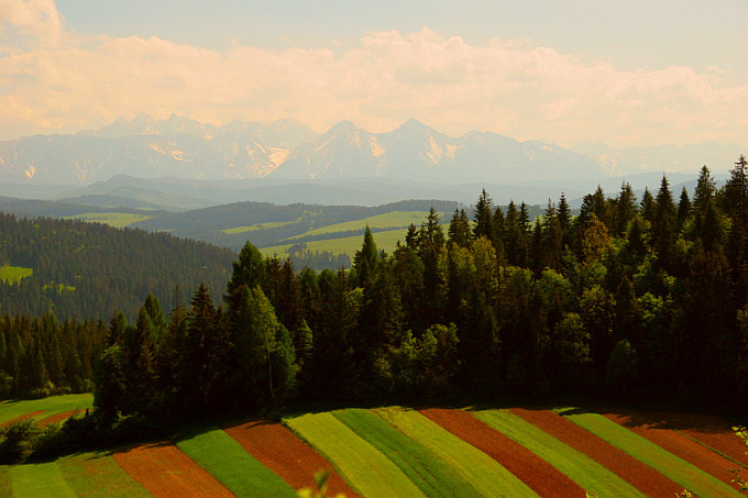 2 w jednym /spojrzenie z Pienin na Beskid Sądecki z widokiem na Tatry