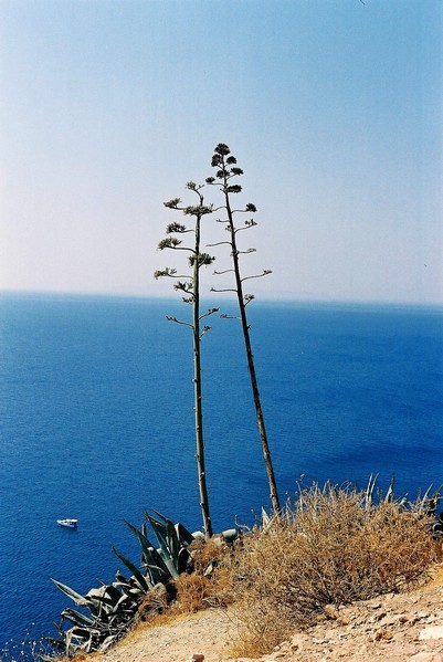 Przylądek Sounion