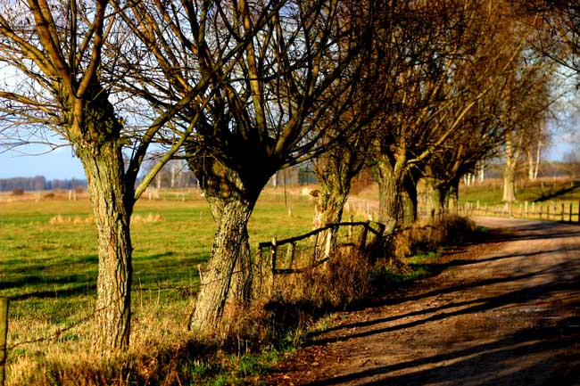 Podlaskimi Bezdrożami