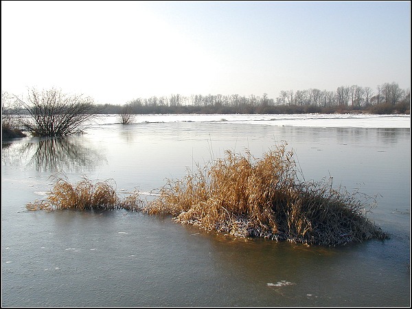 lody puściły