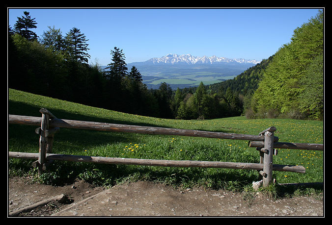 Z widokiem na Tatry