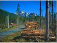 TATRY