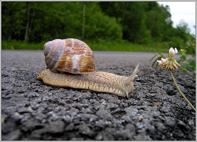 uff... udało się