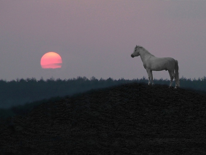 Wieczór III