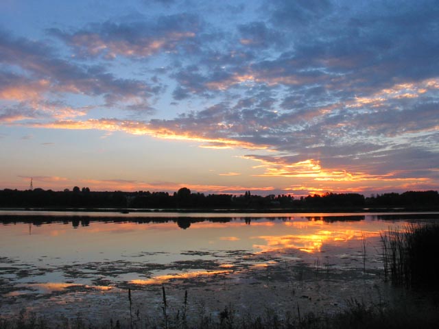 niebo nad Narwia