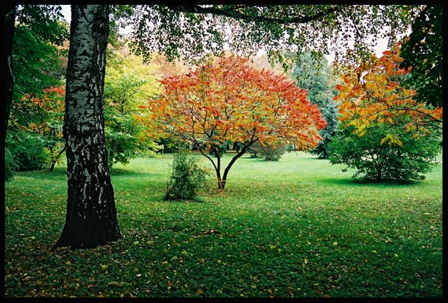 Park w Żarnowcu