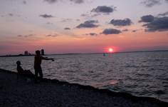 Fishing (junks) at sunset