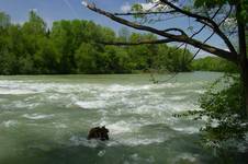 ISAR