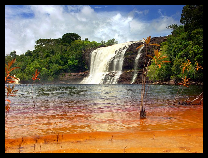 Canaima