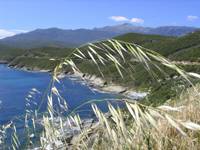 Cap Corse cd