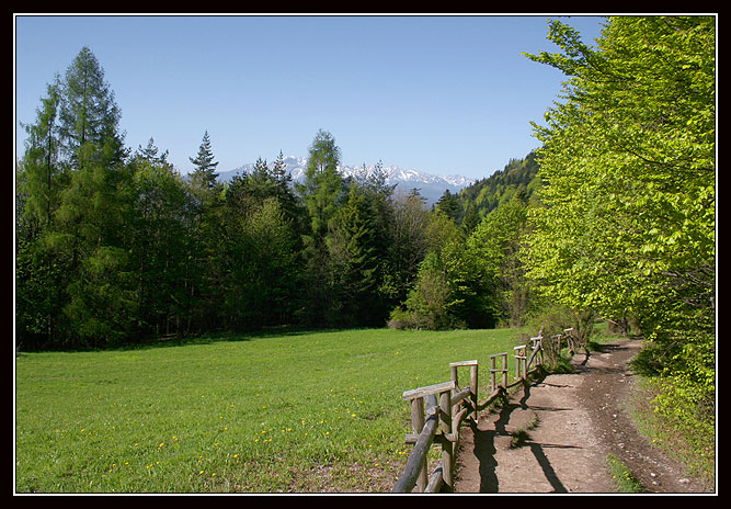 Z widokiem na Tatry