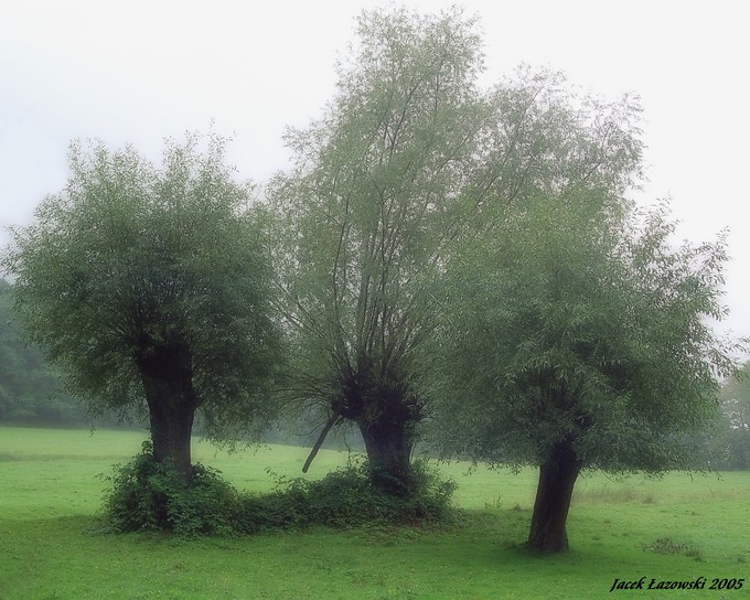 Ustroń Lipowiec