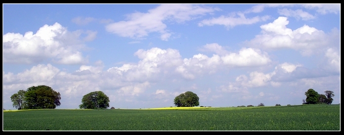 Zielono-niebieski