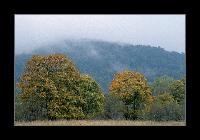 Bieszczady wrześniowe [6]