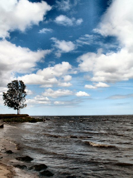 Wszystkim urażonym angielskimi tytułami:)