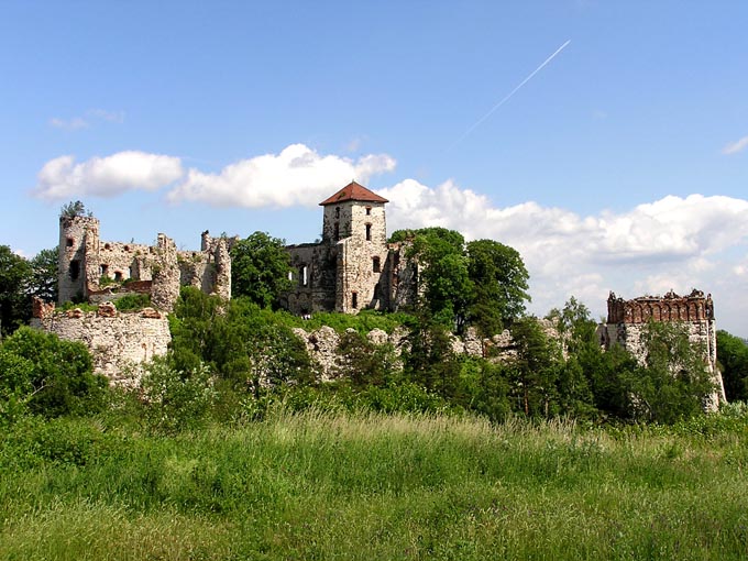 Zamek Tenczyn w Rudnie