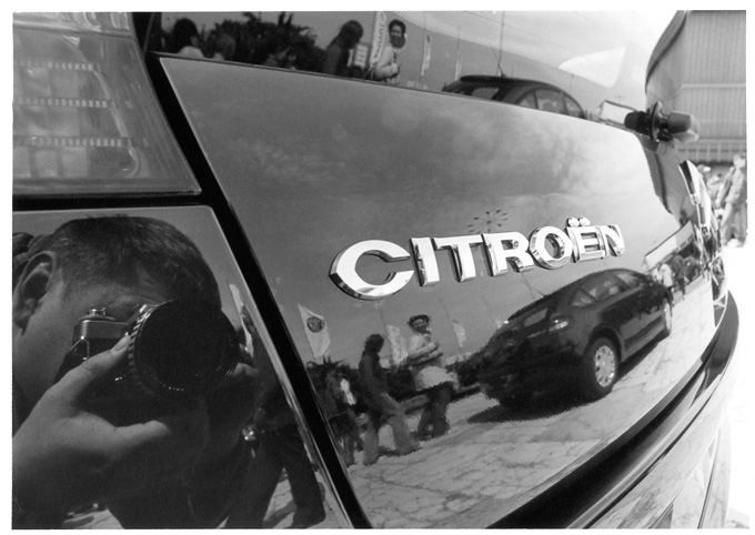 autoportret