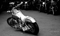 Harley Davidson