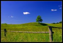 Mazury