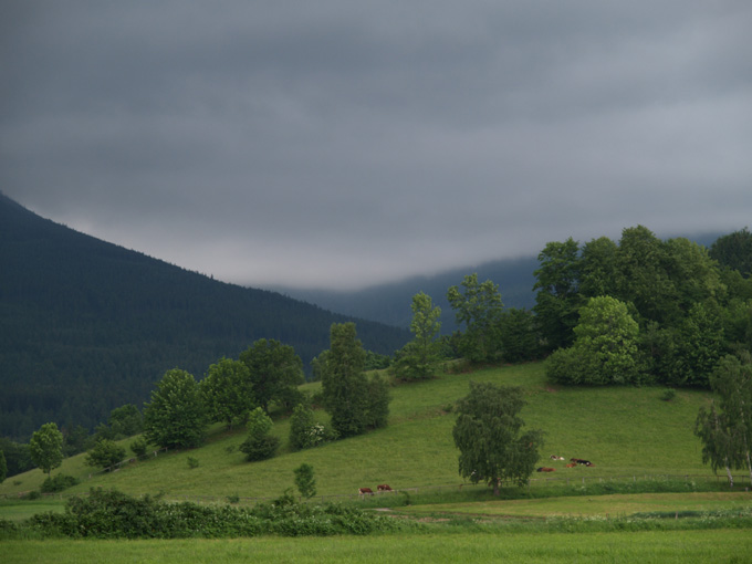 wietrzna polana