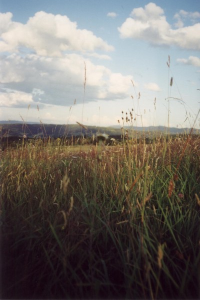 bieszczady