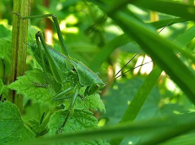 Ach ci paparazzi! Nawet tu mnie wypatrzyli.