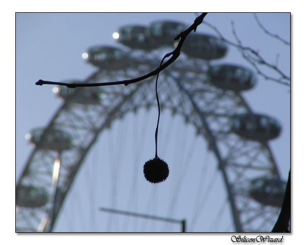 London Eye