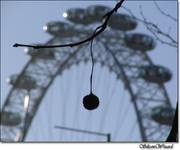 London Eye