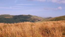 Bieszczady