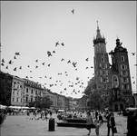 Cracow