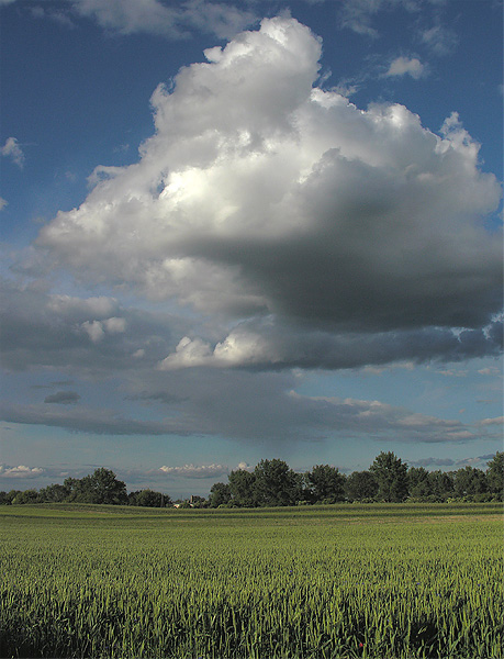 Widoczek z chmurką