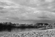 Narew