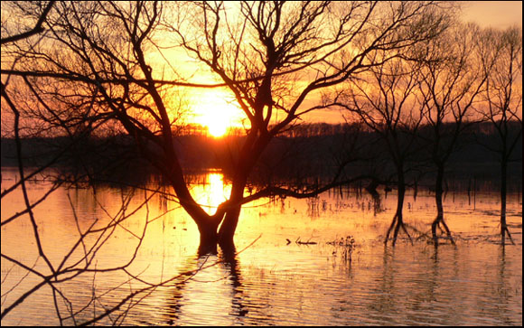 Zachód nad rozlaną Biebrzą.