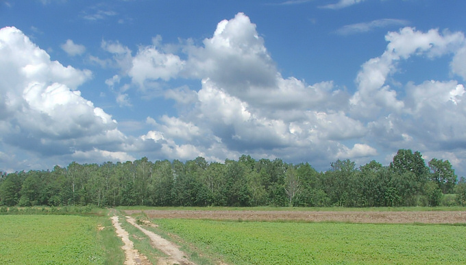 Rowerem nad jezioro