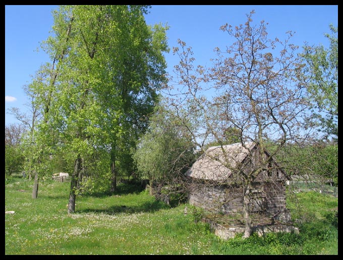 Chatka (może Kubusia Puchatka ;)