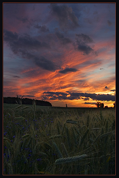 zasypiające lato