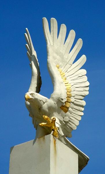 white eagle