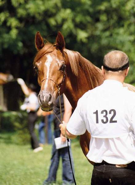  a kuku :) - Białka 2005