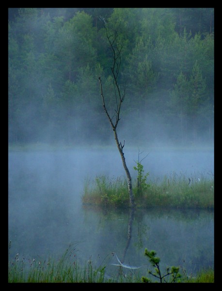 Pływająca Wyspa